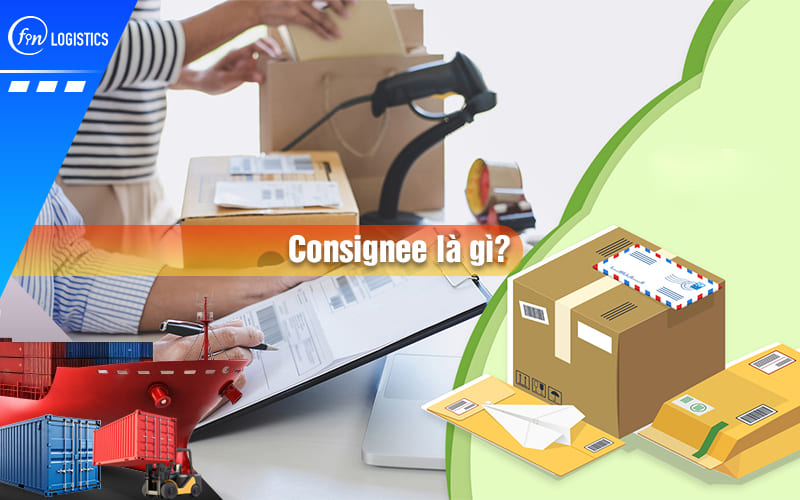 consignee-la-gi-00