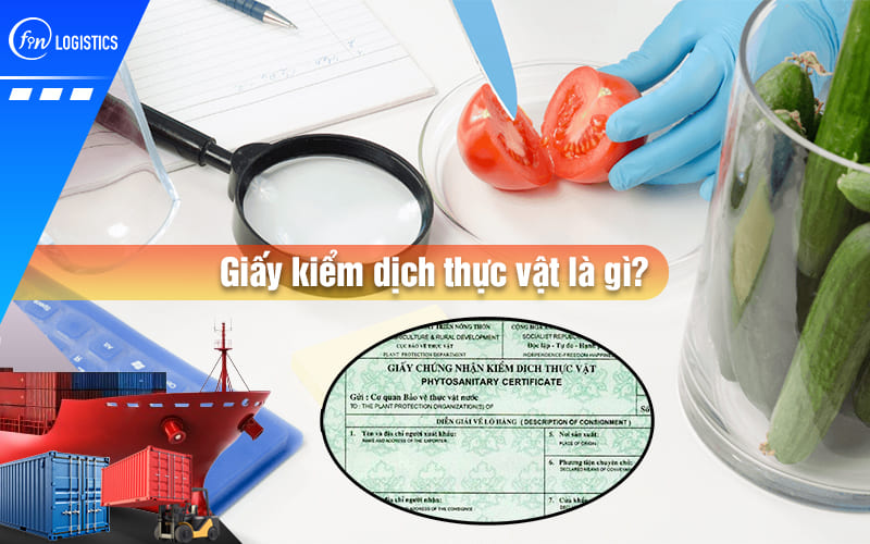 giay-kiem-dich-thuc-vat-la-gi-00