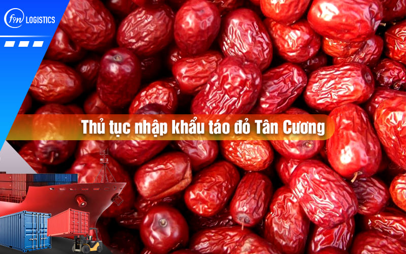 thu-tuc-nhap-khau-tao-do-00