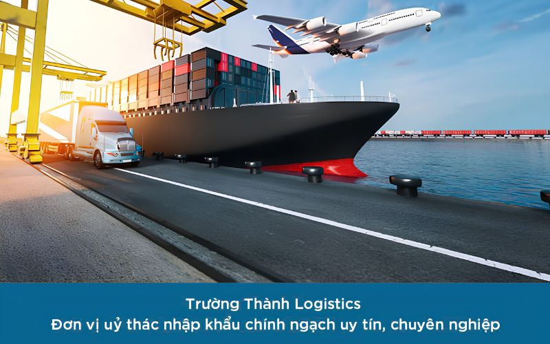 Trường Thành Logistics là đơn vị cung cấp dịch vụ ủy thác xuất nhập khẩu với 12 năm kinh nghiệm trong lĩnh vực logistics.