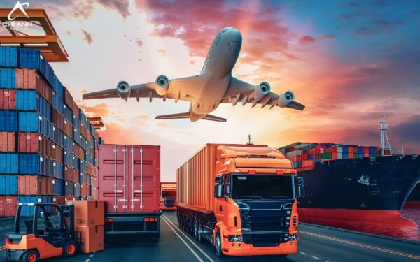 Kinh nghiệm lựa chọn đơn vị vận chuyển chính ngạch uy tín